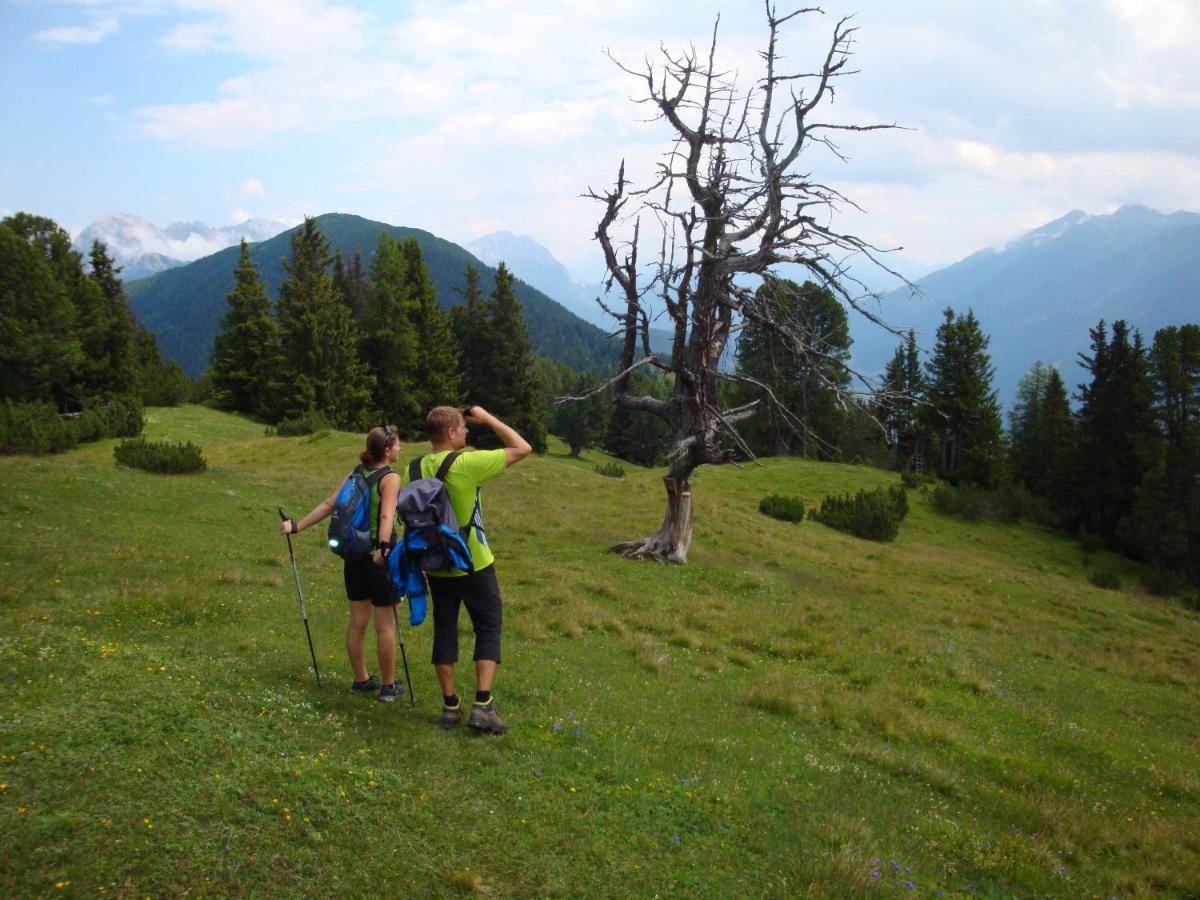 Activ-Family-Apart-Wisiol-Pitztal Sommercard Inklusive イェルツェンス エクステリア 写真
